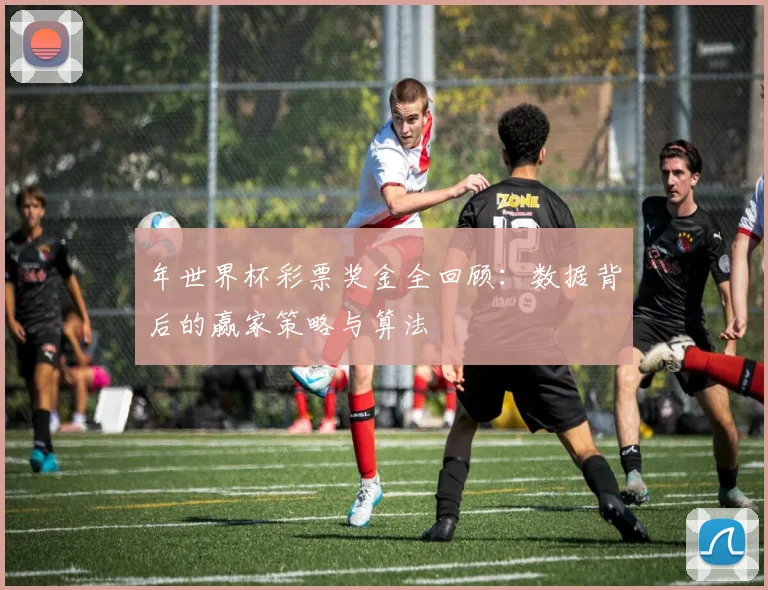 年世界杯彩票奖金全回顾：数据背后的赢家策略与算法