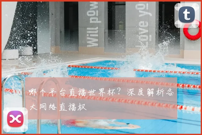 哪个平台直播世界杯?深度解析各大网络直播权