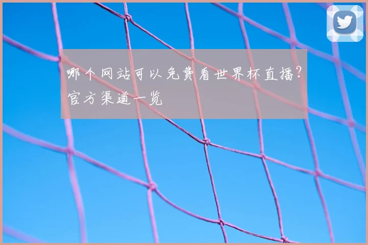 哪个网站可以免费看世界杯直播?官方渠道一览