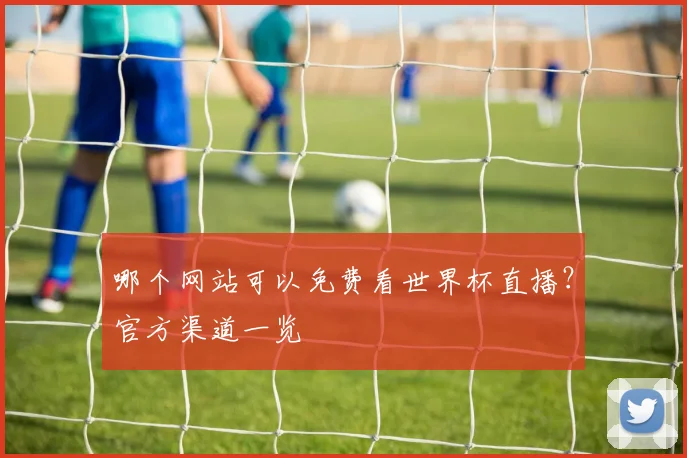 哪个网站可以免费看世界杯直播?官方渠道一览