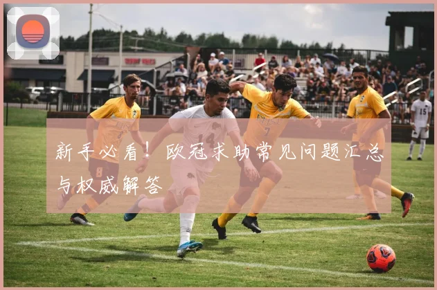 新手必看！欧冠求助常见问题汇总与权威解答