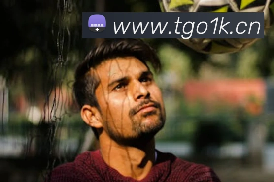 九游9官网服务体系